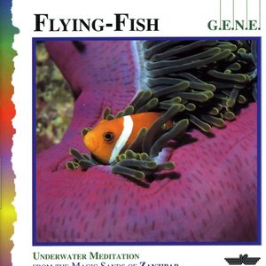 Flying Fish