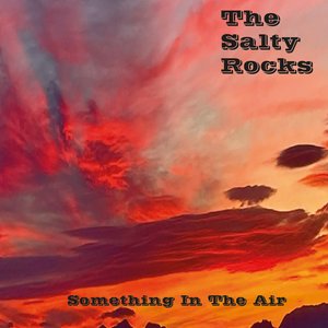 The Salty Rocks - Something In The Air