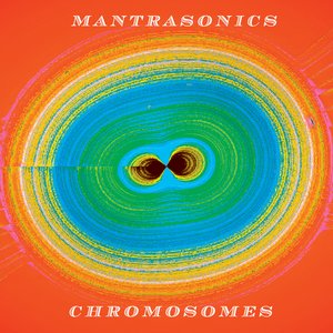 Chromosomes