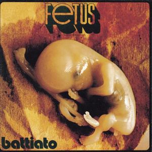 Fetus cover