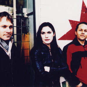 Catnip photo provided by Last.fm