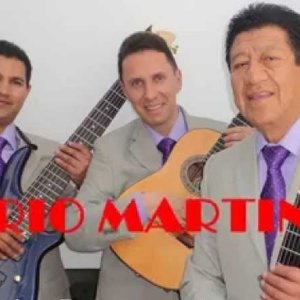 Trio Martino 的头像