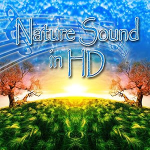 Nature Sounds In Hd