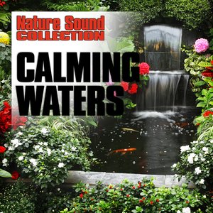 Calming Waters (Nature Sounds)