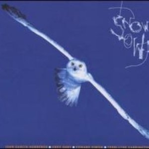 Snow Owl Quartet 的头像