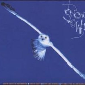 Snow Owl Quartet のアバター