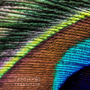 Transition - Single
