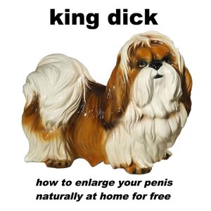 How to Enlarge Your Penis Naturally at Home for Free