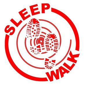 Sleep Walk 的头像