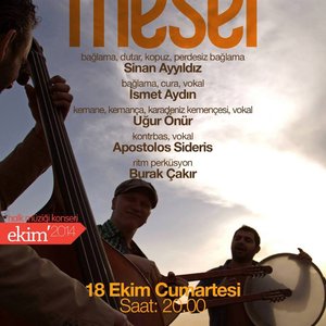 Mesel 的头像