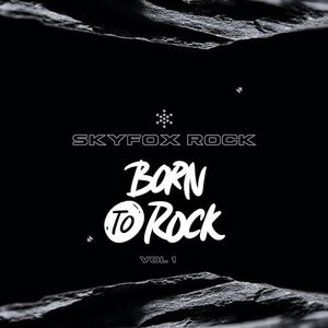 Born To Rock, Vol. 1 [Explicit]