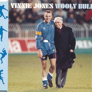 Vinnie Jones And The Soul Survivors 的头像