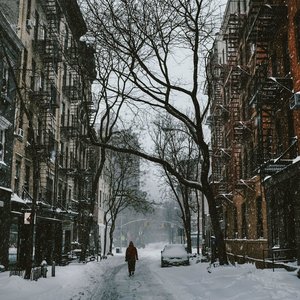 Quiet Walks on a Snowy Street