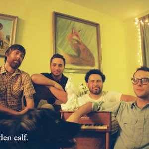 My Golden Calf 的头像