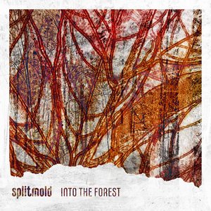 Into the Forest