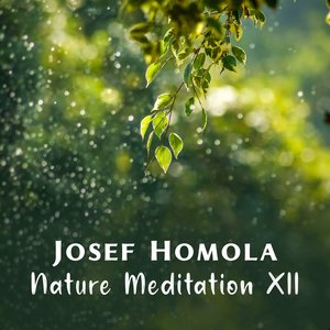 Nature Meditation XII