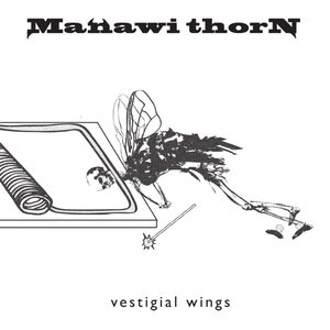 Vestigial Wings