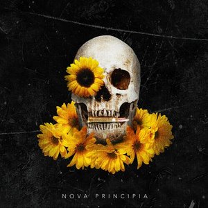 Nova Principia