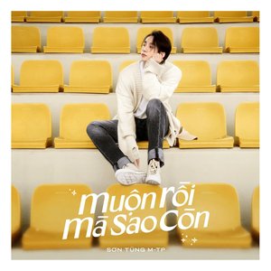 Muộn Rồi Mà Sao Còn - Single