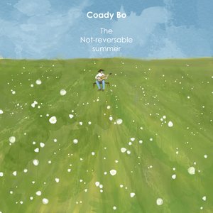 The Not-Reversable Summer