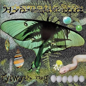 Hydromatic Static