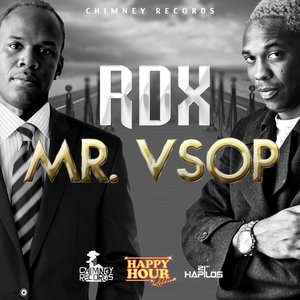Mr. VSOP - Single