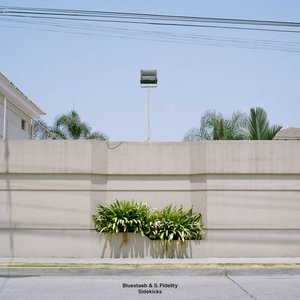 Avatar for Bluestaeb & S. Fidelity