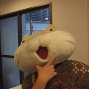 片霧烈火 photo provided by Last.fm