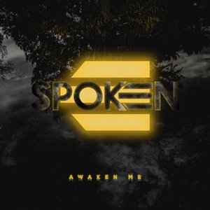 Awaken Me - Single