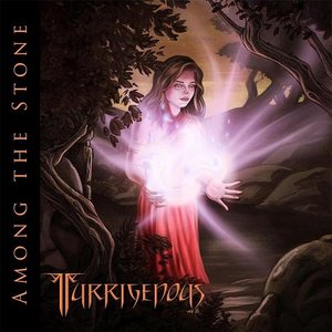 Among The Stone