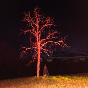 Stockholm - Single