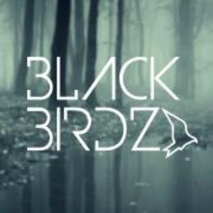 Black Birdz 的头像