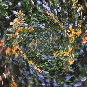 Cradle - Single