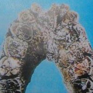 The Qoast 的头像
