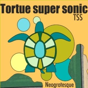 TSS Tortue Super Sonic のアバター