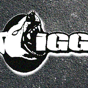 Avatar for IGG