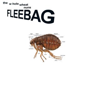 Fleebag