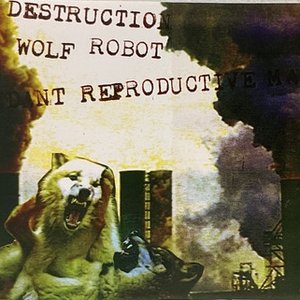 Destruction Wolf Robot 的头像