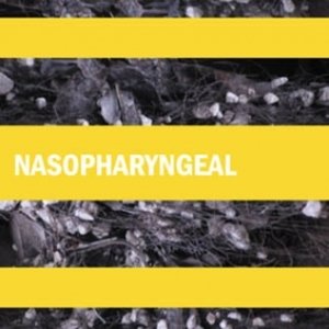 Avatar for Nasopharyngeal