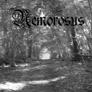 Nemorosus 的头像