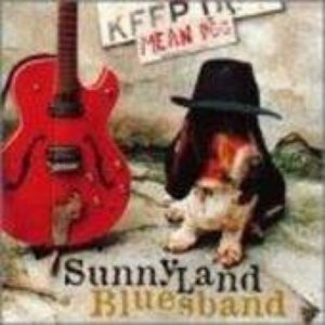 Avatar de SUNNYLAND BLUES BAND