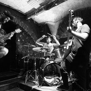 The Ammonoids 的头像