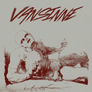 Vansinne