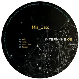 Interwave 03