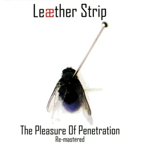 The Pleasure of Penetration (remastered)