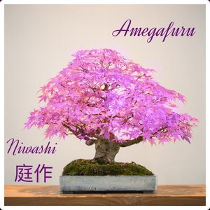 Amegafuru