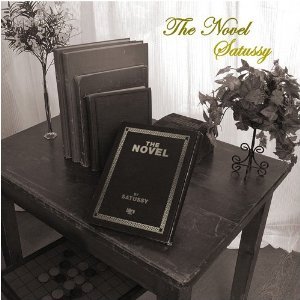 The Novel