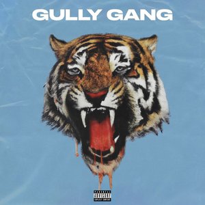 Gully Gang