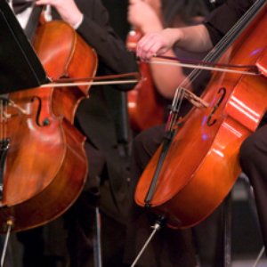 Ferenc Erkel Chamber Orchestra 的头像