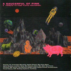 A Saucerful Of Pink - A Tribute To Pink Floyd